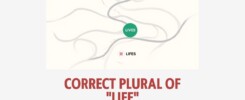 Lifes vs lives — correct plural grammar graphic